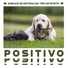 Academia de Música para Animais