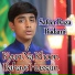 Safeer Raza Badami