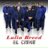 Latin Breed