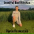 Owen Desmarais