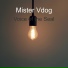Mister Vdog
