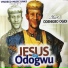 Chief Odenigbo Ogidi