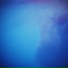 ArtIlux