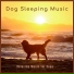 Dog Sleeping Music