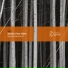 Symmetric, Future of Matter