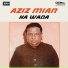 Aziz Mian