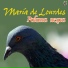 Maria De Lourdes