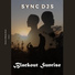 S Y N C D J S