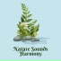 Relaxation And Meditation