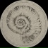 Fossil Archive aka Roberto