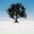 03-Shiny Toy Guns