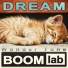 WonderTune BOOMlab