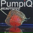 PumpiQ