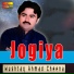 Mushtaq Ahmad Cheena