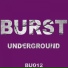 Victor Bauer, Alan Rush, Silent Kush
