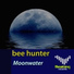 Bee Hunter