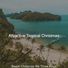 Attractive Tropical Christmas