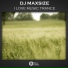 DJ maxSIZE