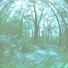Open Spaces