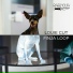 Louie Cut