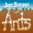 Joe Scruggs