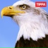 TIPPA