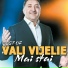 asu,boby ASU, BOBY si VALI VIJELIE