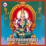 Anu V Kadammanitta