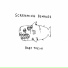 Screaming Females