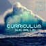 Curriculum