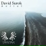 David Surok