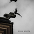 Rosa Morta