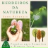 Beatriz Natureza Flores
