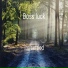 Boss luck