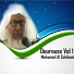 Mohamed Al Sahibani