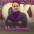 Moin Sherani