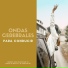 Ondas Cerebrales