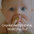 Calming Music Academy