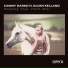Danny Darko feat. Julien Kelland