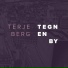 Terje Berg
