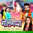 Vinay Pandey Saanu, Shilpi Raj