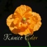 Kanico Eder