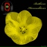 Ludwig van Beethoven