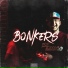 Bonkers