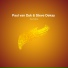 Paul van Dyk & Steve Dekay