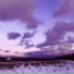 prfrvp