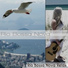Rio Bossa Nova
