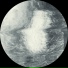 Ulwhednar - LP (NE4)