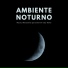 Noite Alves