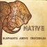 Elephant Above Crocodiles